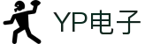 YP电子集团股份有限公司